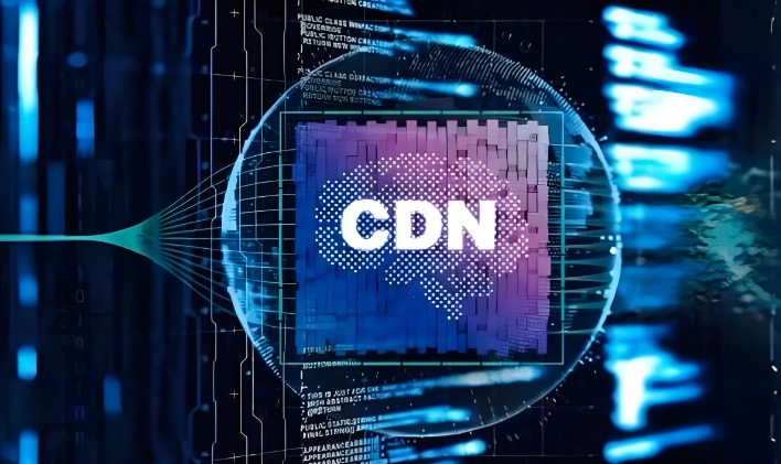 公共CDN