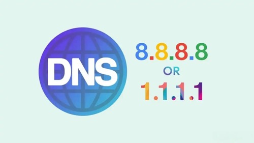 DNS  FALL